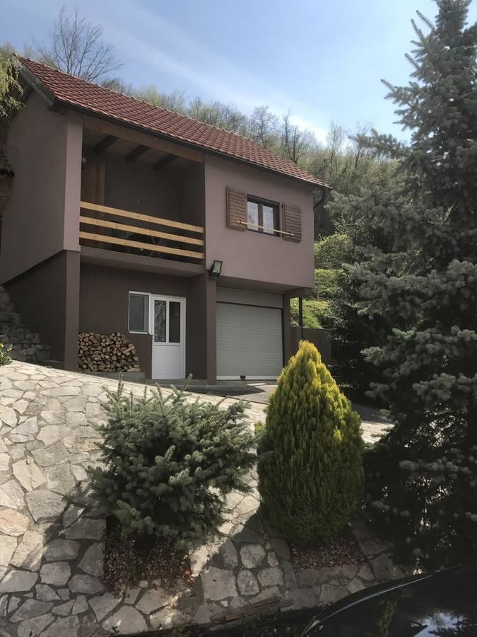 Загородные дома Etno House Raško Raško-13