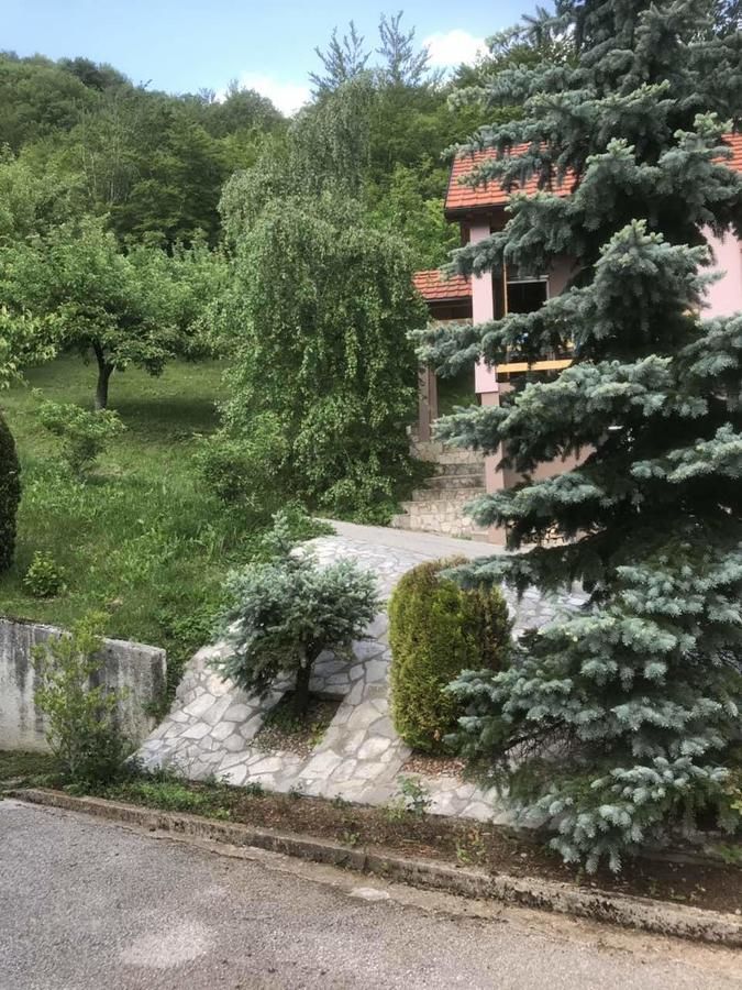 Загородные дома Etno House Raško Raško-9
