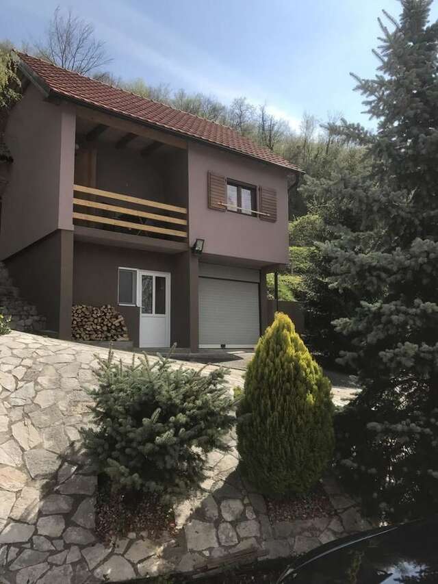 Загородные дома Etno House Raško Raško-12