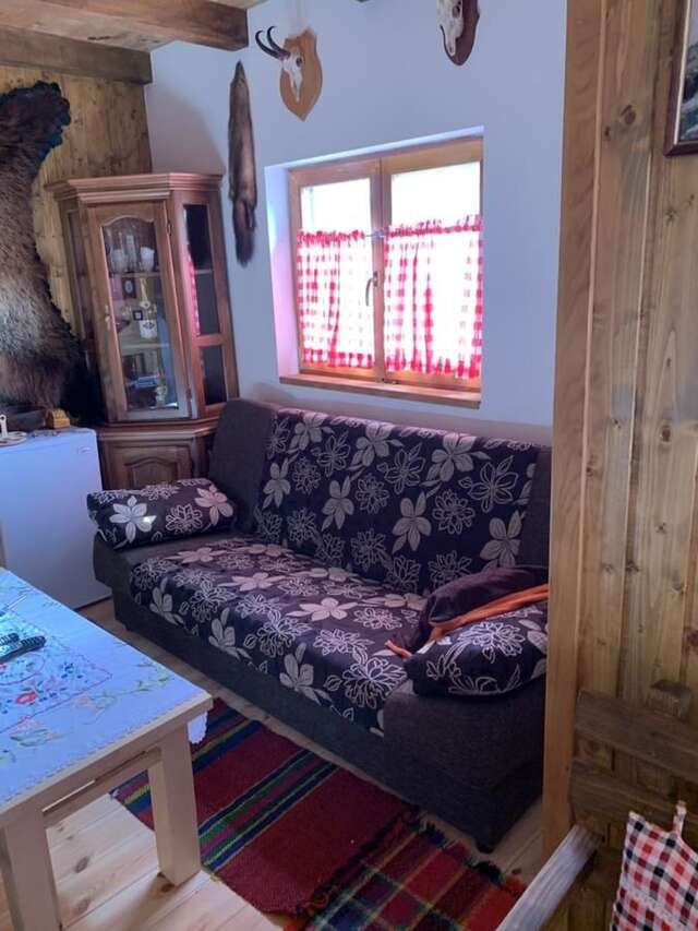 Загородные дома Etno House Raško Raško-13